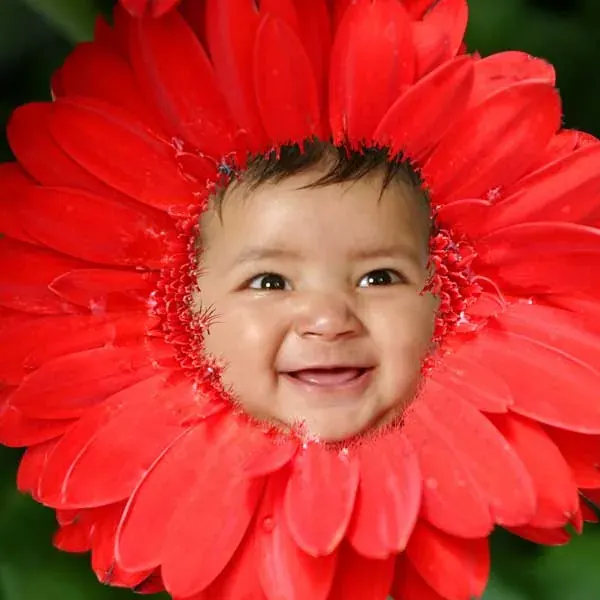 Photographic service at Kodak Express Highgate